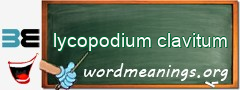 WordMeaning blackboard for lycopodium clavitum